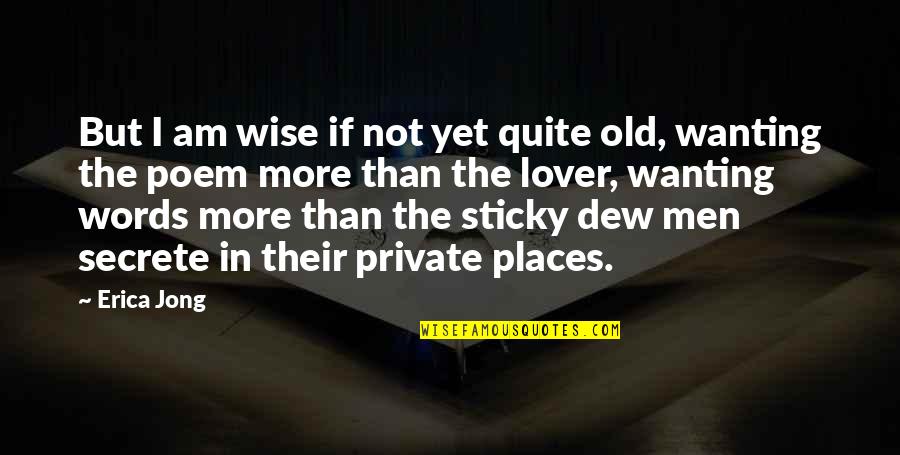 I Am Wise Quotes By Erica Jong: But I am wise if not yet quite I Am Wise Quotes By Erica Jong: But I am wise if not yet quite