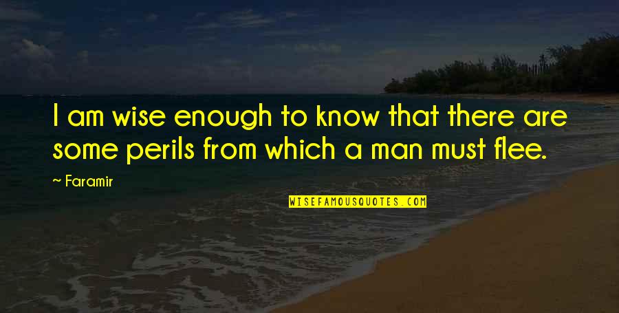 I Am Wise Quotes By Faramir: I am wise enough to know that there