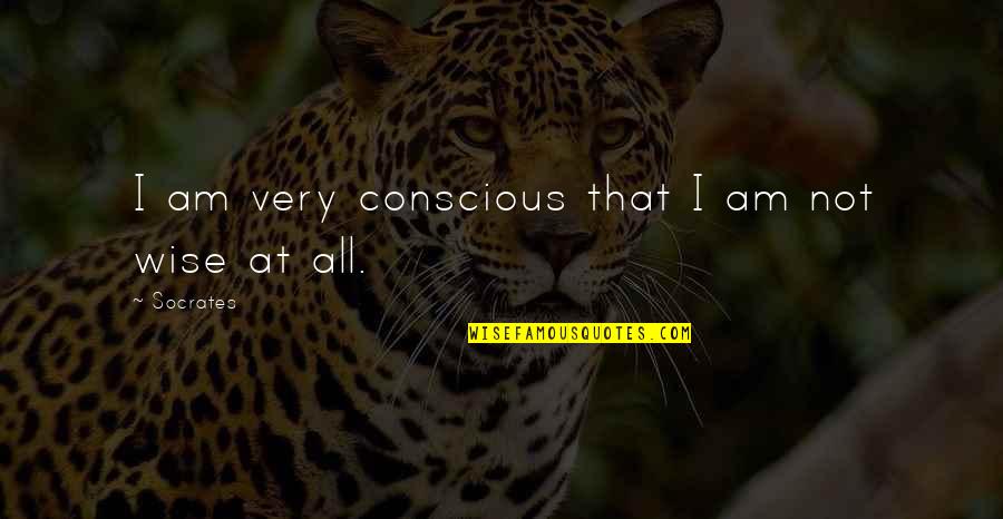 I Am Wise Quotes By Socrates: I am very conscious that I am not