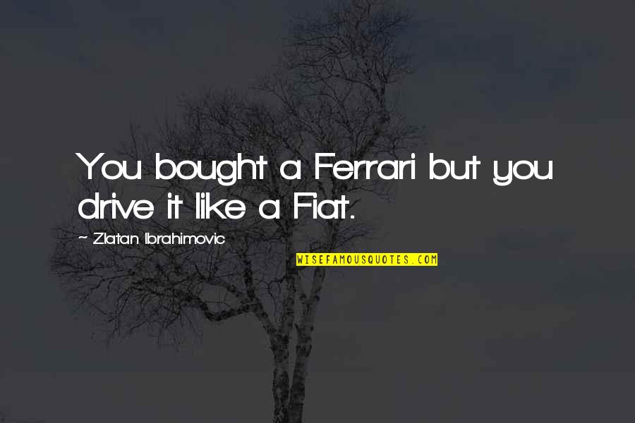 I Am Zlatan Best Quotes By Zlatan Ibrahimovic: You bought a Ferrari but you drive it