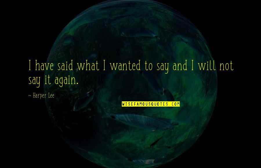 I Appreciate You Sister Quotes By Harper Lee: I have said what I wanted to say
