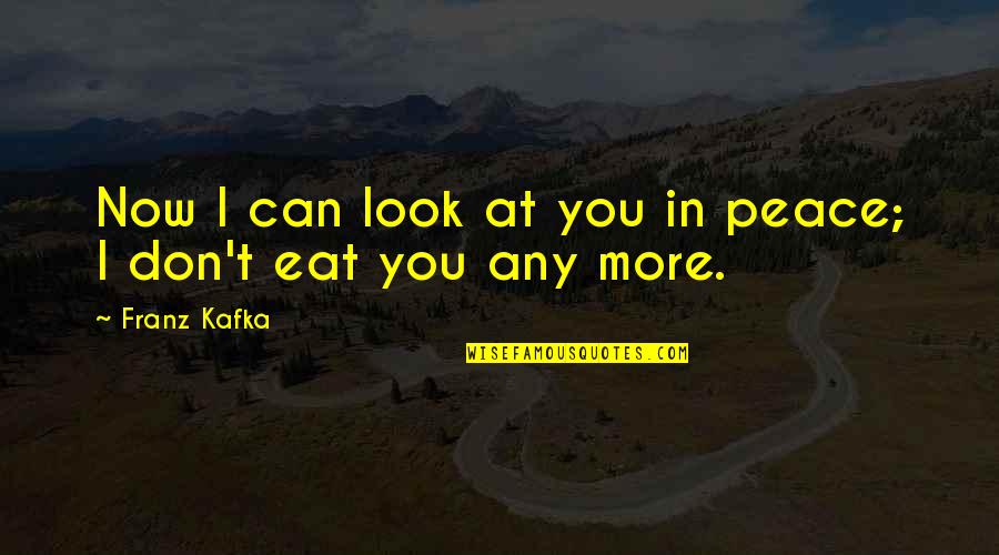I At Peace Quotes By Franz Kafka: Now I can look at you in peace;