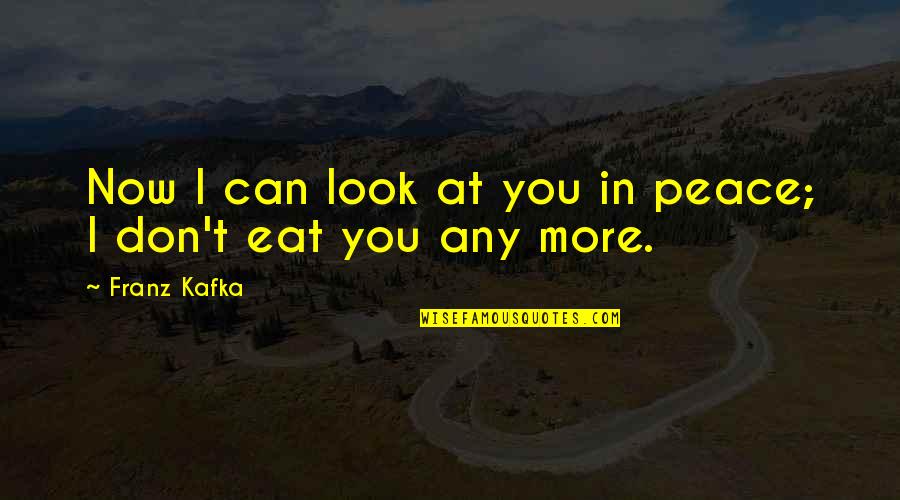 I At Peace Quotes By Franz Kafka: Now I can look at you in peace;