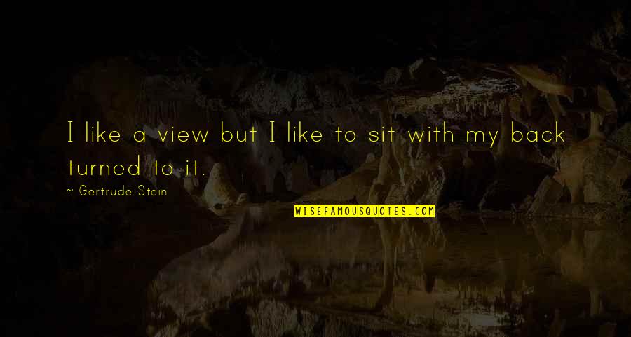 I Back Like Quotes By Gertrude Stein: I like a view but I like to