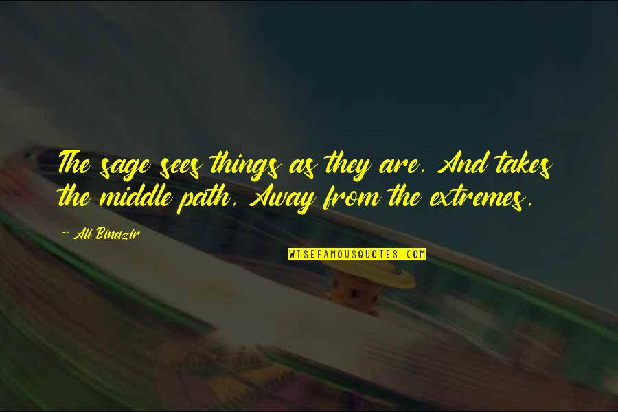 I Believe The Children Are Our Future Quote Quotes By Ali Binazir: The sage sees things as they are, And