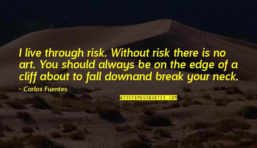 I Break Down Quotes By Carlos Fuentes: I live through risk. Without risk there is