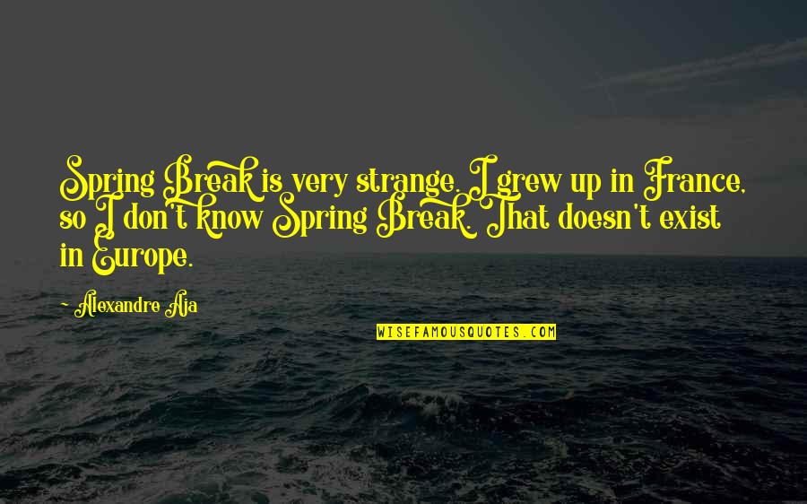 I Break Up Quotes By Alexandre Aja: Spring Break is very strange. I grew up