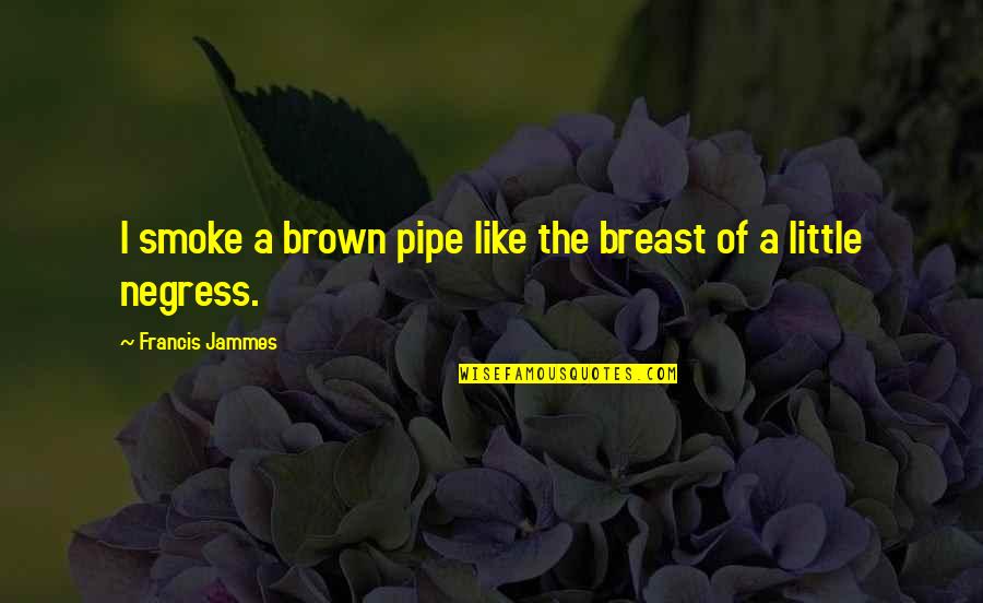 I Call You Because I Miss You Quotes By Francis Jammes: I smoke a brown pipe like the breast