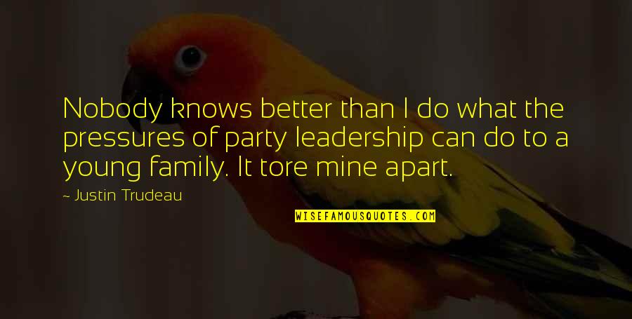 I Can Do It Better Quotes By Justin Trudeau: Nobody knows better than I do what the