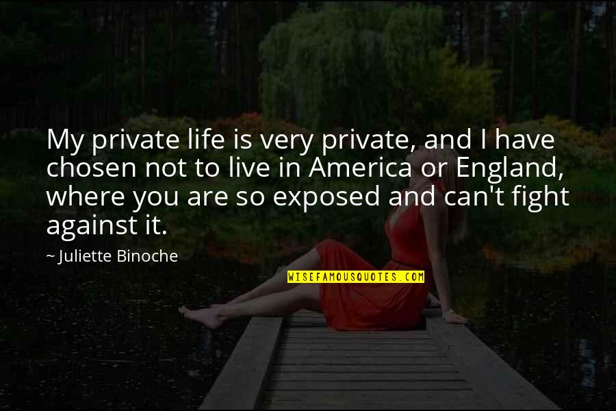 I Can Fight Quotes By Juliette Binoche: My private life is very private, and I