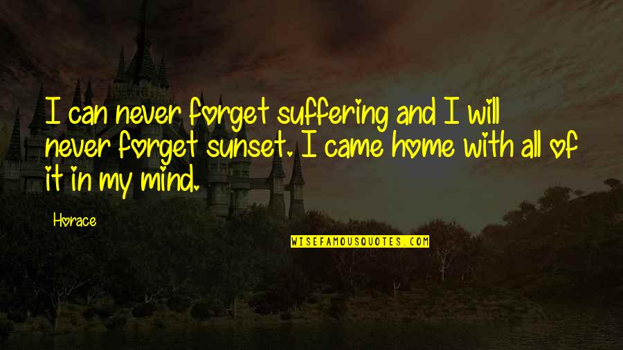 I Can Never Forget You Quotes By Horace: I can never forget suffering and I will