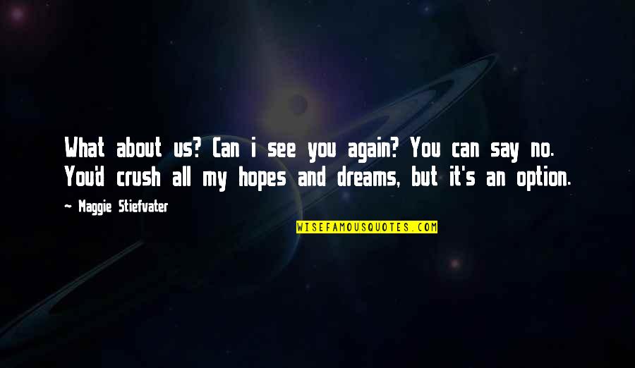 I Can Only See You In My Dreams Quotes By Maggie Stiefvater: What about us? Can i see you again?