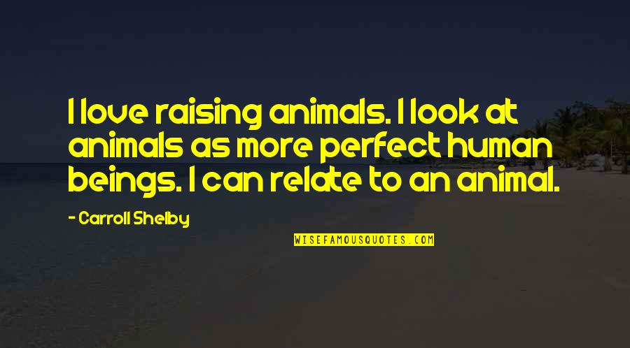 I Can Relate Quotes By Carroll Shelby: I love raising animals. I look at animals