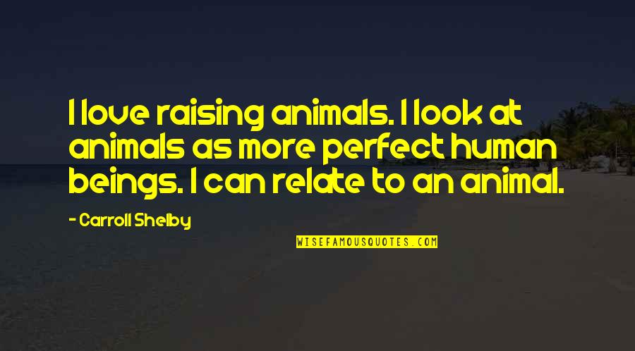 I Can Relate Quotes By Carroll Shelby: I love raising animals. I look at animals I Can Relate Quotes By Carroll Shelby: I love raising animals. I look at animals