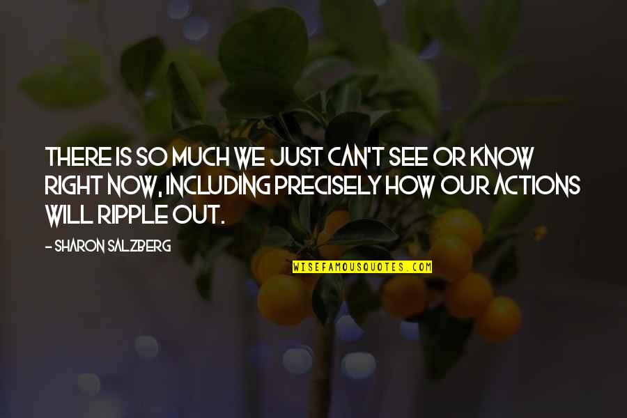 I Can See Right Thru You Quotes By Sharon Salzberg: There is so much we just can't see