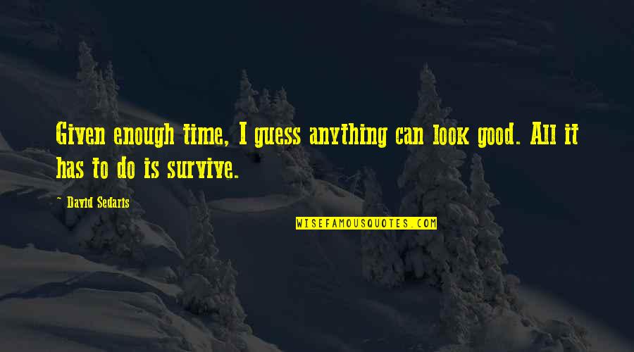 I Can Survive Quotes By David Sedaris: Given enough time, I guess anything can look