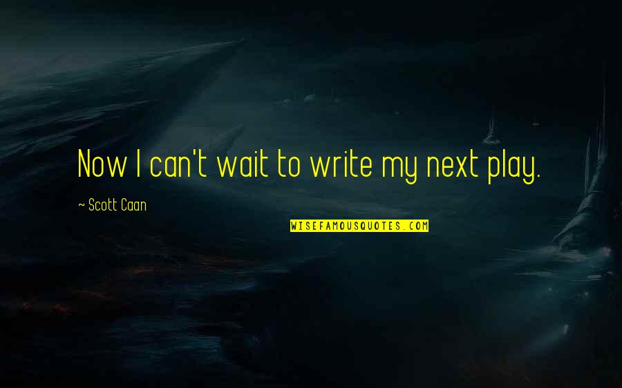 I Can T Write Quotes By Scott Caan: Now I can't wait to write my next