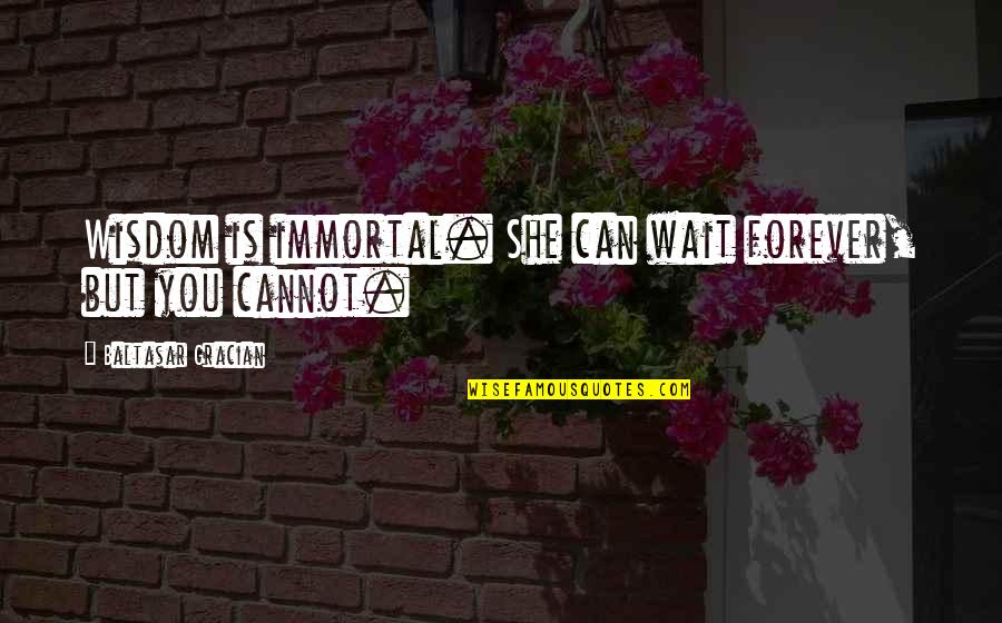 I Can Wait For You Forever Quotes By Baltasar Gracian: Wisdom is immortal. She can wait forever, but I Can Wait For You Forever Quotes By Baltasar Gracian: Wisdom is immortal. She can wait forever, but