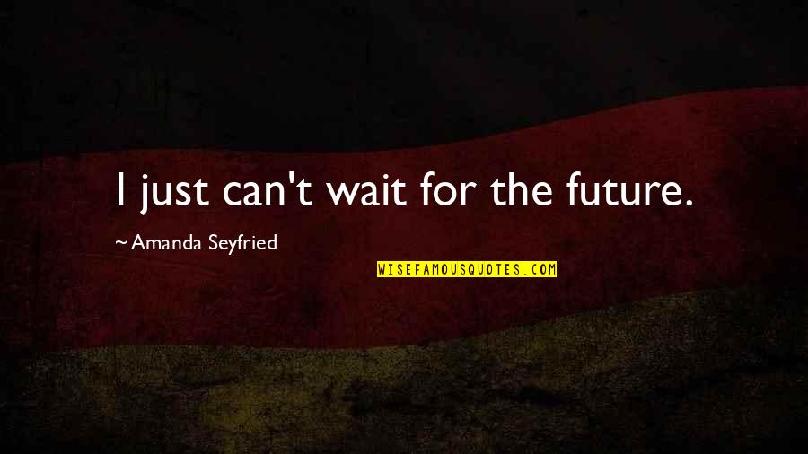 I Can Wait Quotes By Amanda Seyfried: I just can't wait for the future.