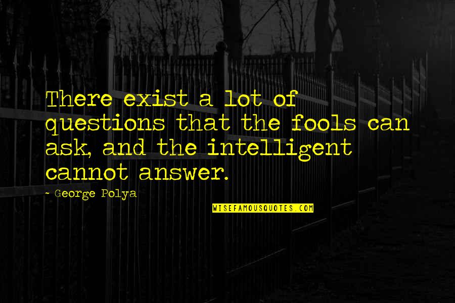 I Can't Be There For You Quotes By George Polya: There exist a lot of questions that the