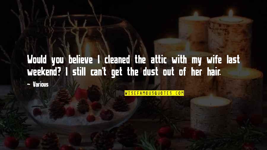 I Can't Believe You Quotes By Various: Would you believe I cleaned the attic with