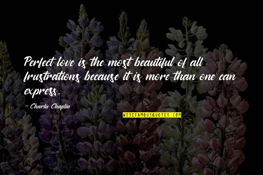 I Can't Express My Love For You Quotes By Charlie Chaplin: Perfect love is the most beautiful of all