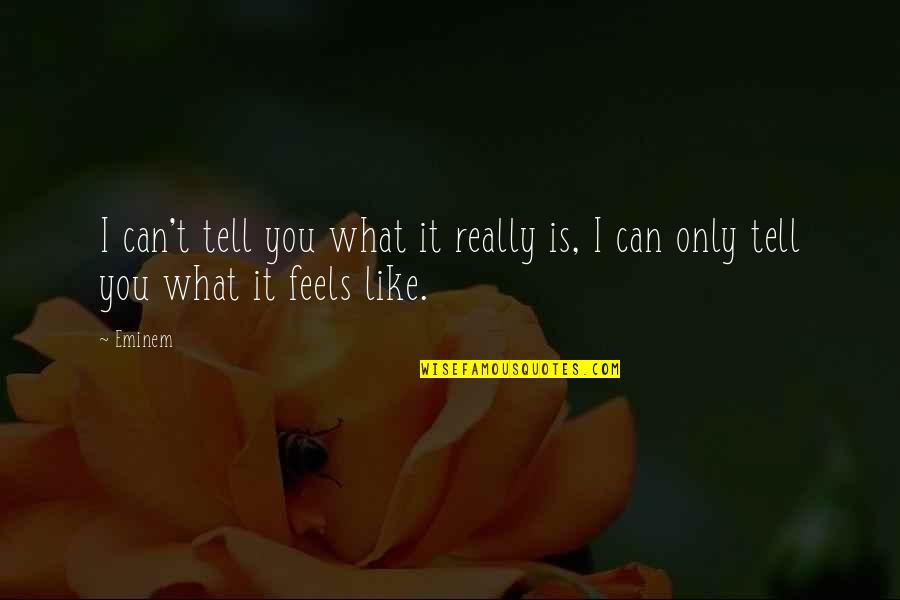 I Can't Like You Quotes By Eminem: I can't tell you what it really is,