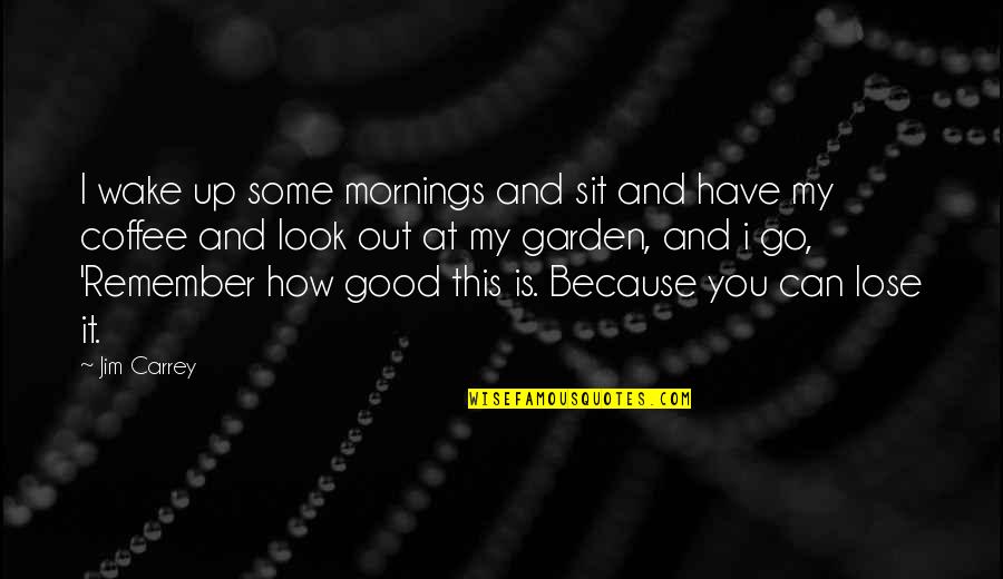 I Can't Lose You Quotes By Jim Carrey: I wake up some mornings and sit and