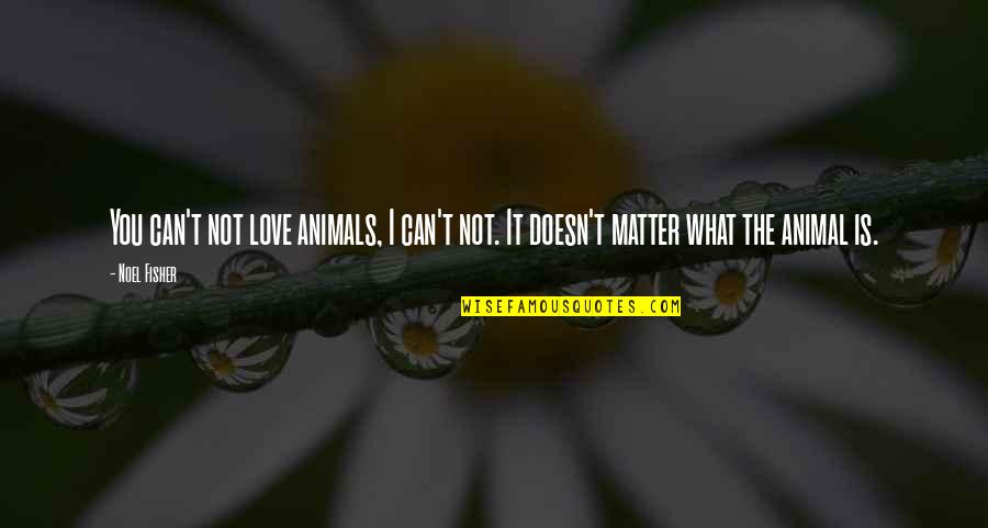 I Can't Love You Quotes By Noel Fisher: You can't not love animals, I can't not.