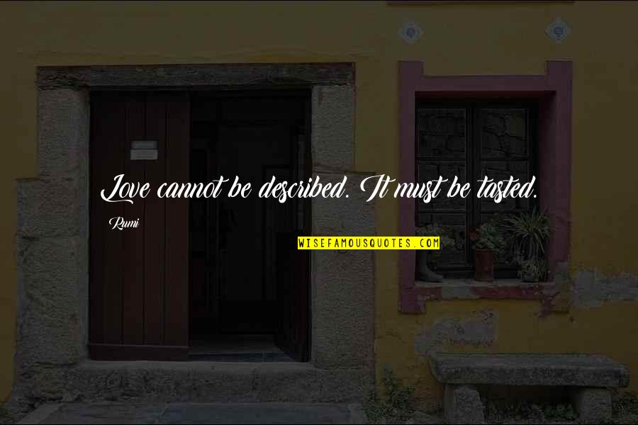 I Cant See You Sad Quotes By Rumi: Love cannot be described. It must be tasted.