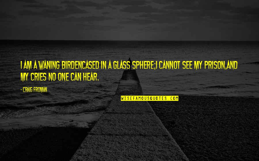 I Can't See Your Pain Quotes By Craig Froman: I am a waning birdencased in a glass