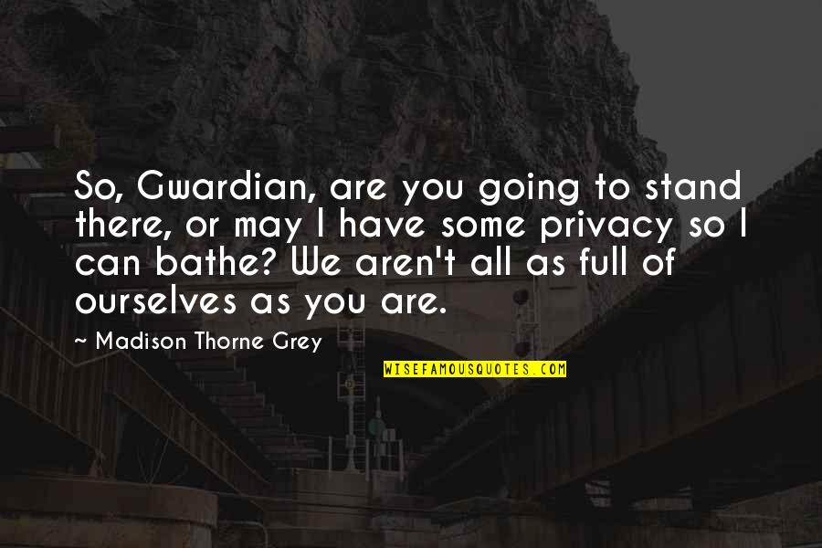 I Can't Stand You Quotes By Madison Thorne Grey: So, Gwardian, are you going to stand there,