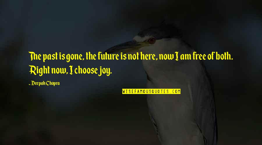 I Choose Joy Quotes By Deepak Chopra: The past is gone, the future is not