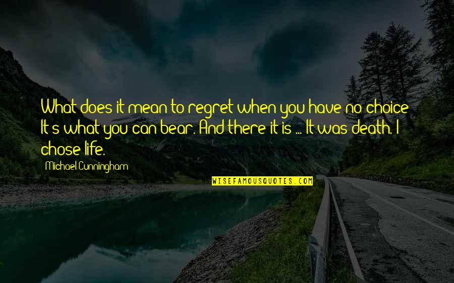 I Chose You Quotes By Michael Cunningham: What does it mean to regret when you
