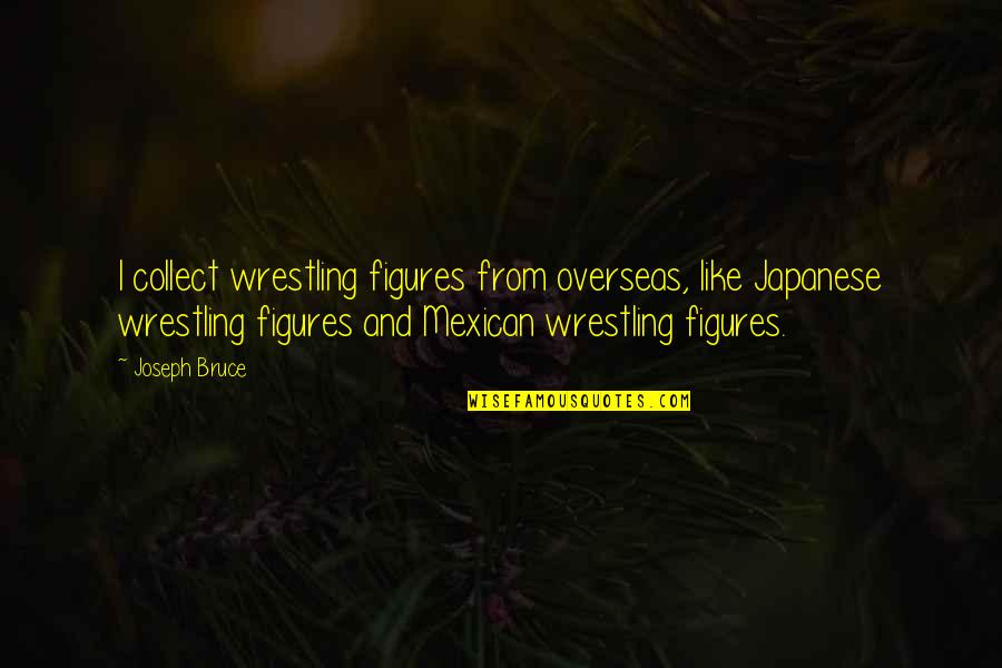 I Collect Quotes By Joseph Bruce: I collect wrestling figures from overseas, like Japanese