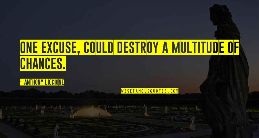 I Could Destroy You Quotes By Anthony Liccione: One excuse, could destroy a multitude of chances.