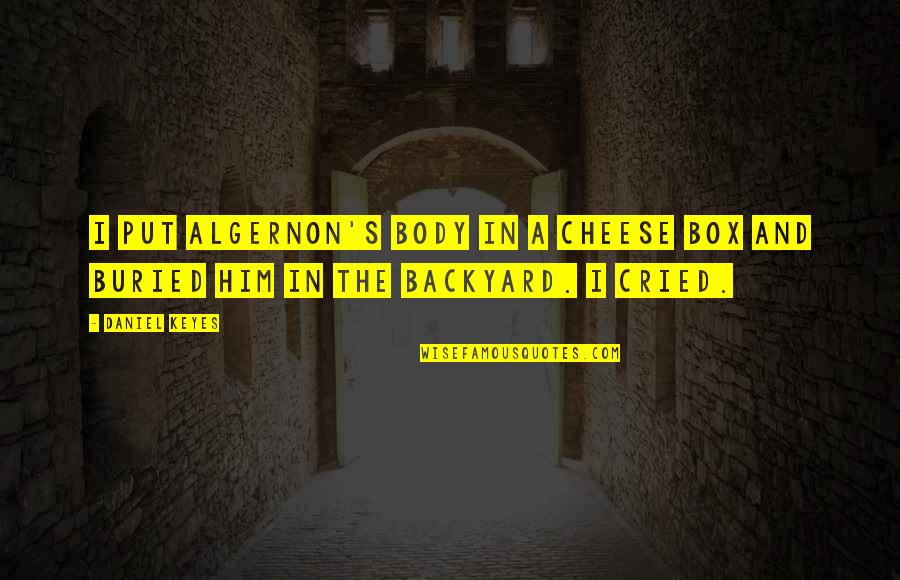 I Cried Quotes By Daniel Keyes: I put Algernon's body in a cheese box