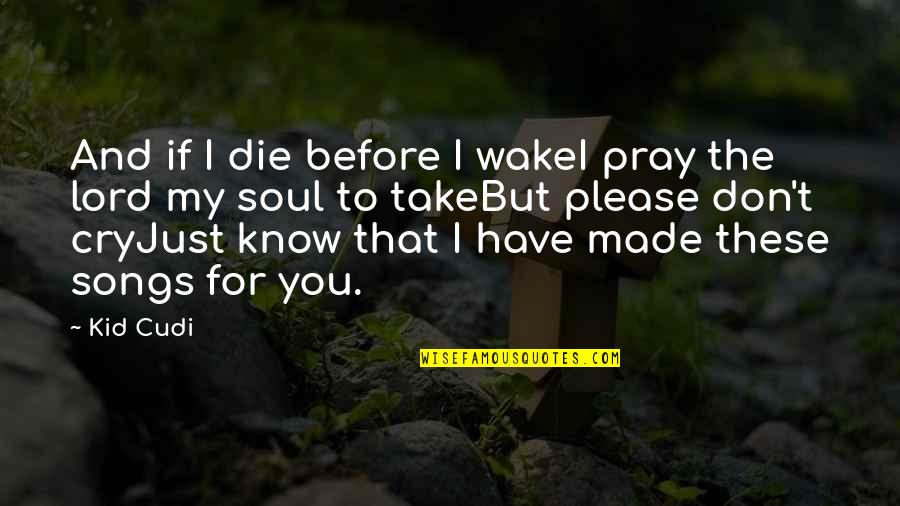 I Cry For You Quotes By Kid Cudi: And if I die before I wakeI pray I Cry For You Quotes By Kid Cudi: And if I die before I wakeI pray