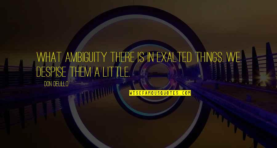 I Despise You Quotes By Don DeLillo: What ambiguity there is in exalted things. We