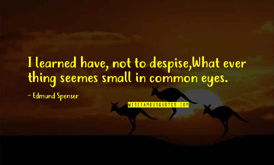 I Despise You Quotes By Edmund Spenser: I learned have, not to despise,What ever thing