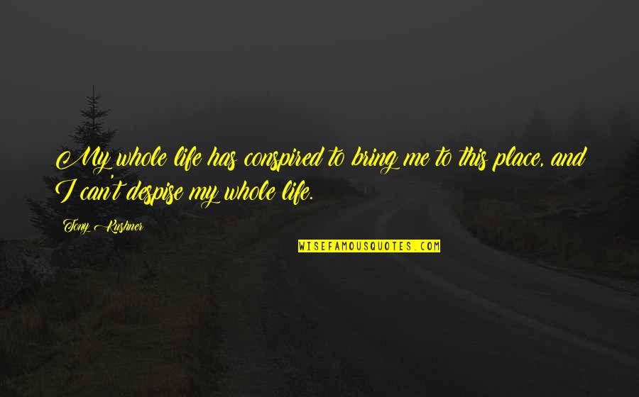I Despise You Quotes By Tony Kushner: My whole life has conspired to bring me