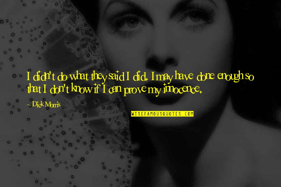 I Did All I Can Do Quotes By Dick Morris: I didn't do what they said I did.