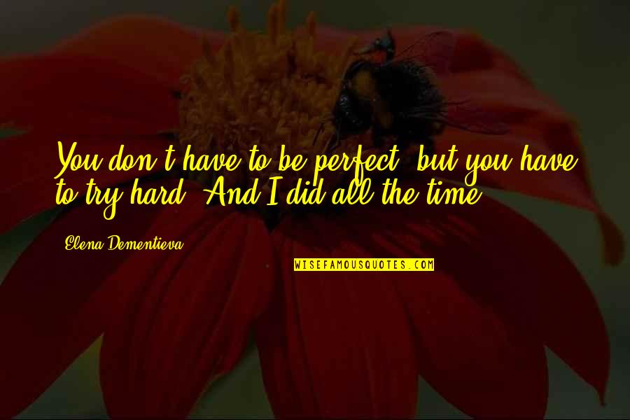 I Did Try Quotes By Elena Dementieva: You don't have to be perfect, but you