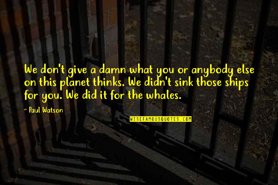 I Didn't Give Up You Did Quotes By Paul Watson: We don't give a damn what you or