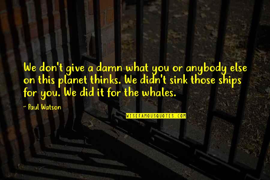 I Didn't Give Up You Did Quotes By Paul Watson: We don't give a damn what you or I Didn't Give Up You Did Quotes By Paul Watson: We don't give a damn what you or