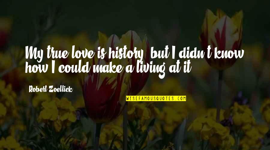I Didn't Know Love Quotes By Robert Zoellick: My true love is history, but I didn't