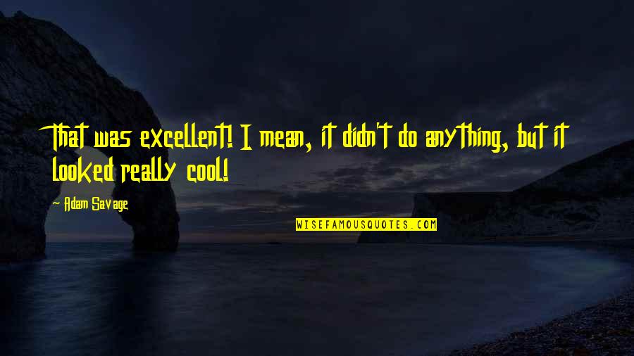 I Didn't Mean Anything To You Quotes By Adam Savage: That was excellent! I mean, it didn't do