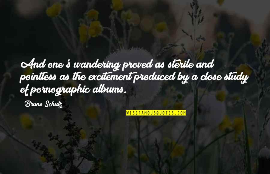 I Didnt Say Goodbye Quotes By Bruno Schulz: And one's wandering proved as sterile and pointless