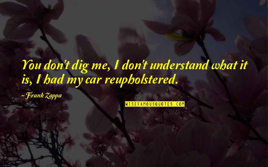 I Dig You Quotes By Frank Zappa: You don't dig me, I don't understand what