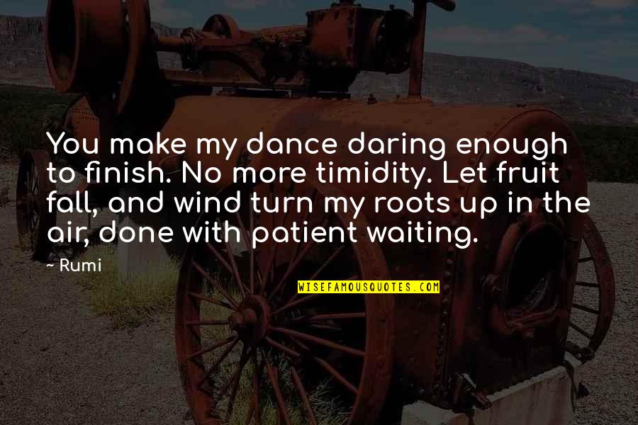 I Done Waiting For You Quotes By Rumi: You make my dance daring enough to finish.